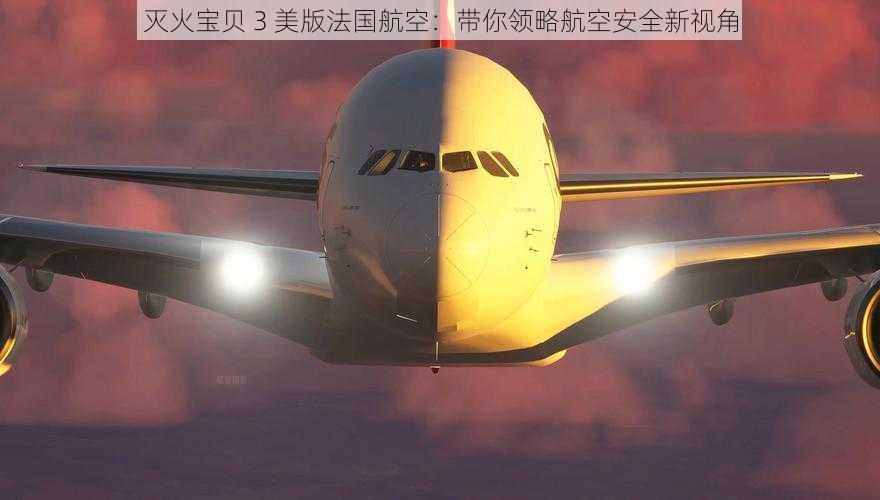 灭火宝贝 3 美版法国航空：带你领略航空安全新视角