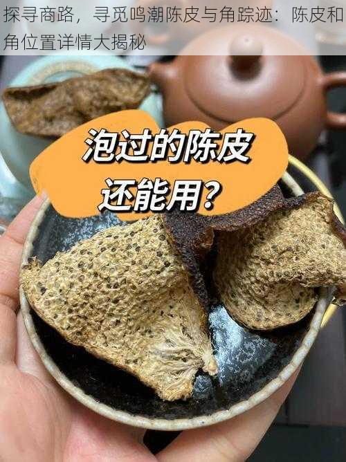 探寻商路，寻觅鸣潮陈皮与角踪迹：陈皮和角位置详情大揭秘