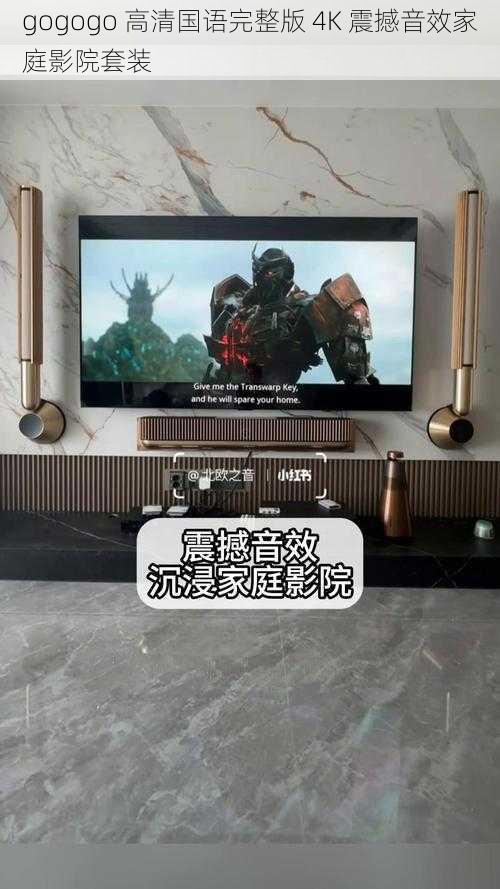 gogogo 高清国语完整版 4K 震撼音效家庭影院套装