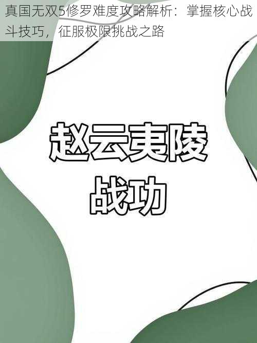 真国无双5修罗难度攻略解析：掌握核心战斗技巧，征服极限挑战之路