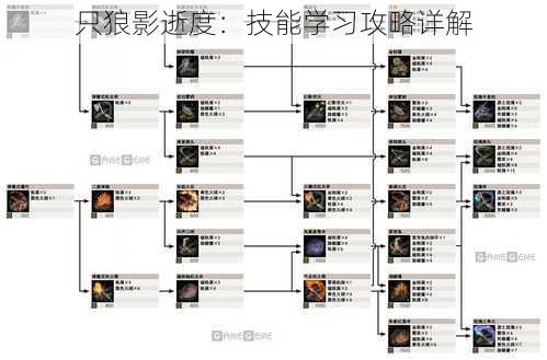 只狼影逝度：技能学习攻略详解