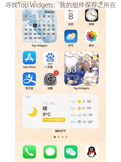 寻找Top Widgets：我的组件保存之所在