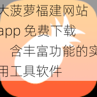 大菠萝福建网站 app 免费下载，含丰富功能的实用工具软件