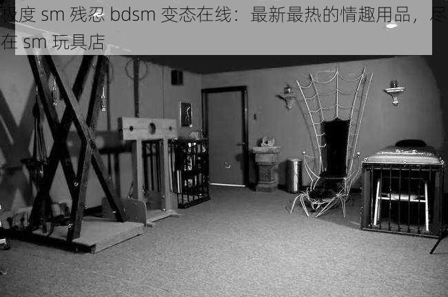 极度 sm 残忍 bdsm 变态在线：最新最热的情趣用品，尽在 sm 玩具店