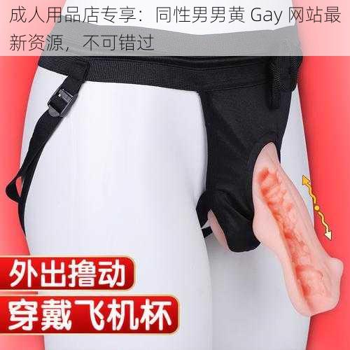 成人用品店专享：同性男男黄 Gay 网站最新资源，不可错过