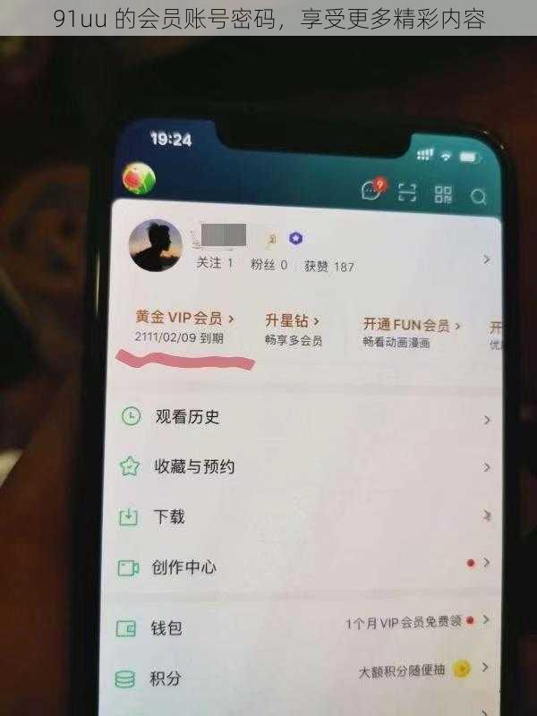 91uu 的会员账号密码，享受更多精彩内容