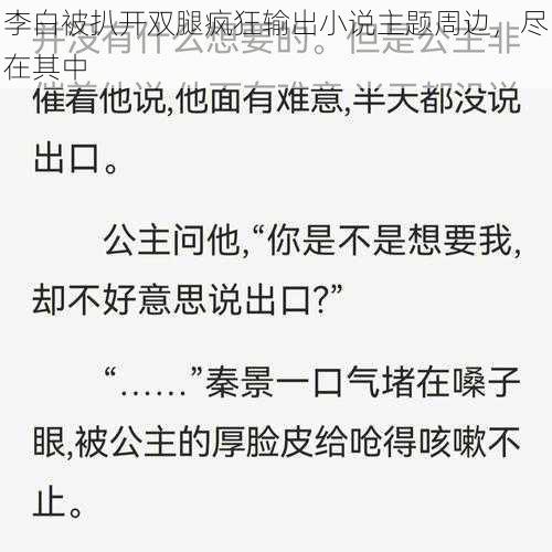 李白被扒开双腿疯狂输出小说主题周边，尽在其中