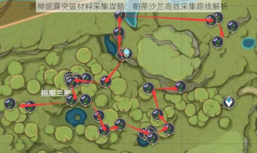 原神妮露突破材料采集攻略：帕蒂沙兰高效采集路线解析