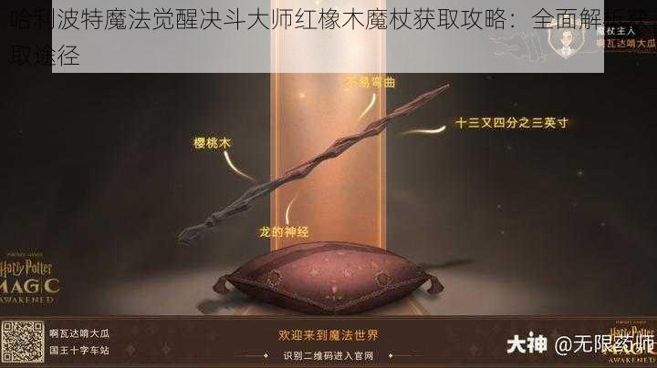 哈利波特魔法觉醒决斗大师红橡木魔杖获取攻略：全面解析获取途径