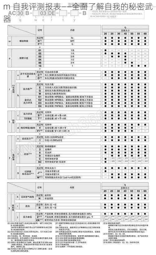 m 自我评测报表——全面了解自我的秘密武器