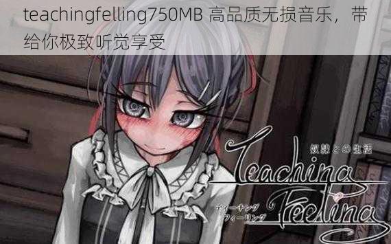 teachingfelling750MB 高品质无损音乐，带给你极致听觉享受