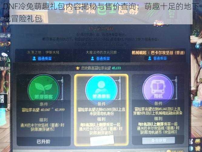 DNF冷兔萌趣礼包内容揭秘与售价查询：萌趣十足的地下城冒险礼包