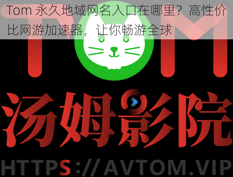 Tom 永久地域网名入口在哪里？高性价比网游加速器，让你畅游全球