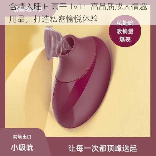 含精入睡 H 高干 1v1：高品质成人情趣用品，打造私密愉悦体验